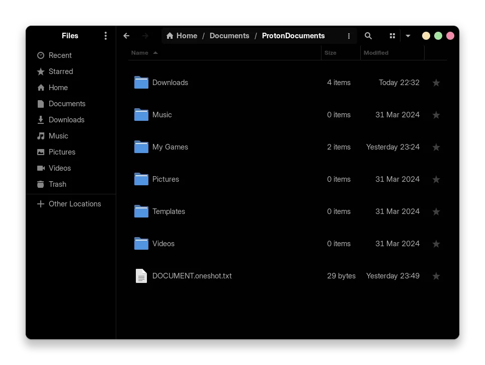 GNOME File Explorer (Nautilus) showing the ProtonDocuments symlink in your home directory's Documents folder.