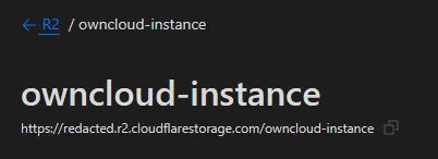 The R2 bucket hostname.